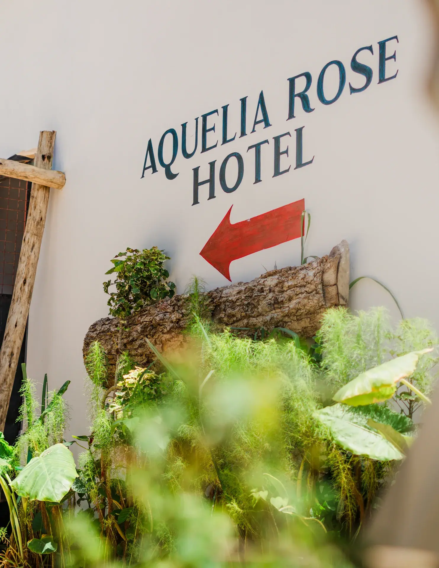 Aquelia Rose Hotel