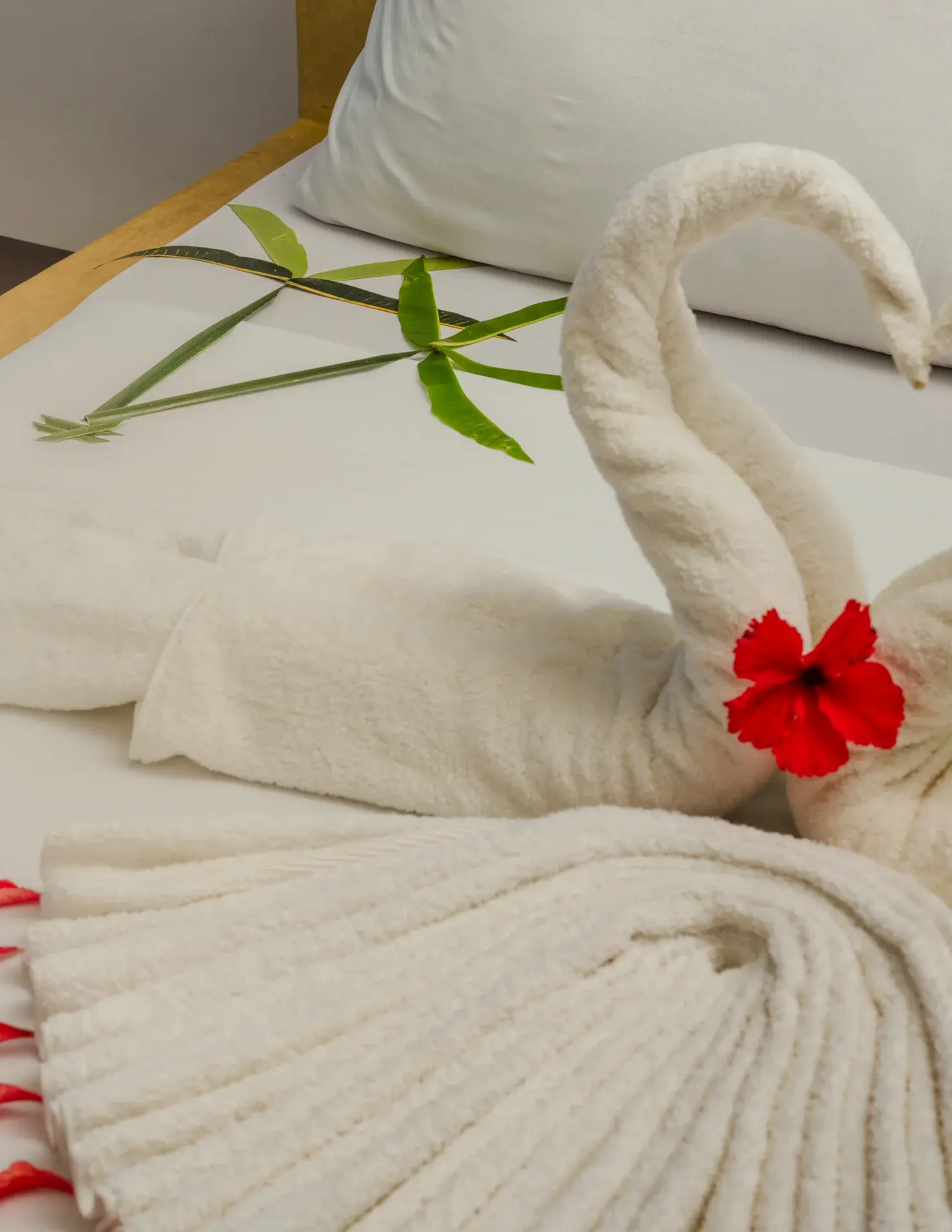 Aquelia Rose Hotel